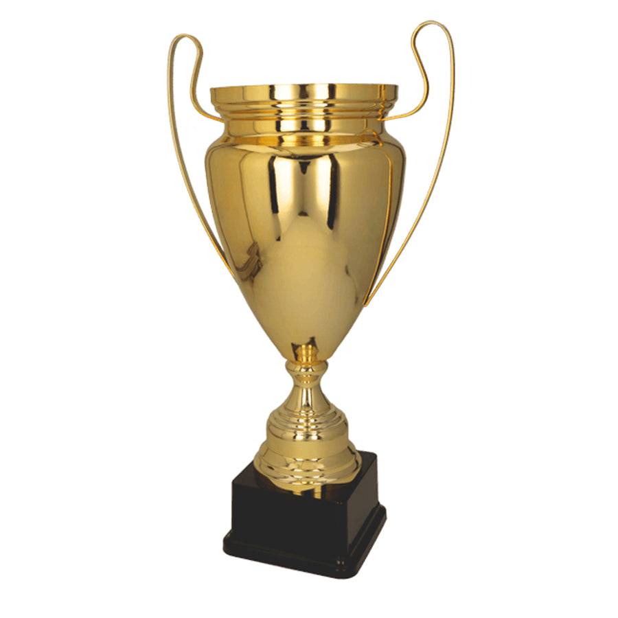 Cupa aurie, 2080