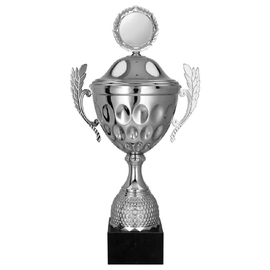 Cupa metalica argintie, cu capac, 4234/P