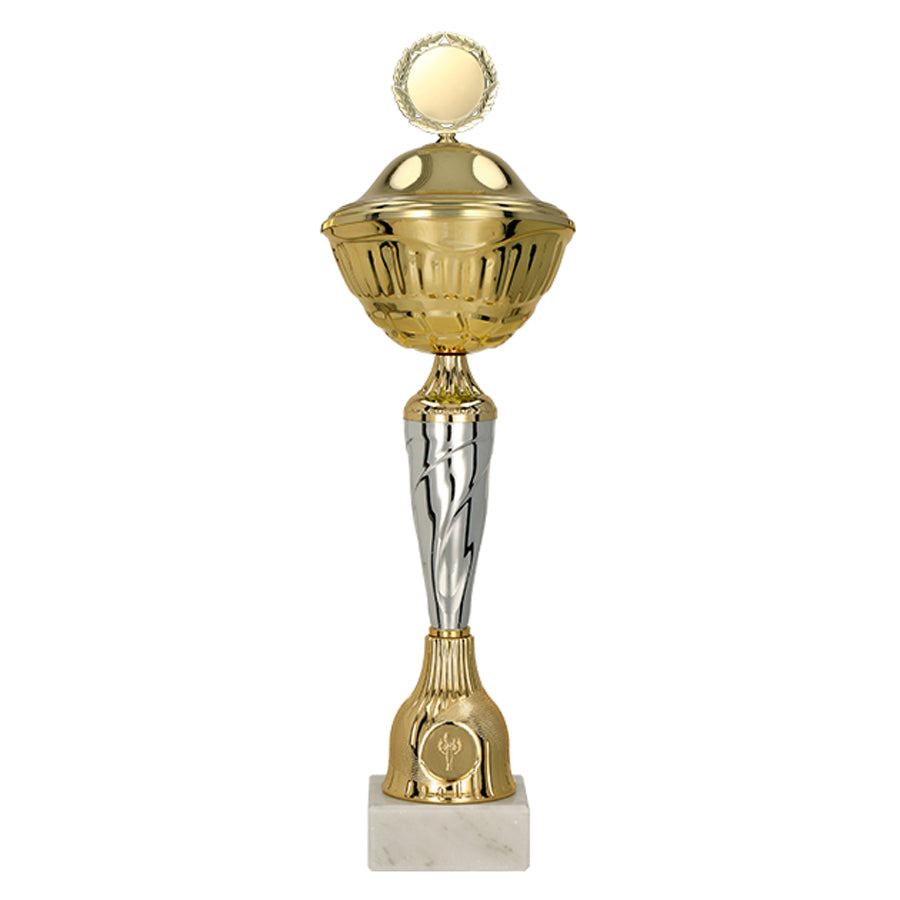 Cupa aurie cu argintiu, cu capac, 9256/P
