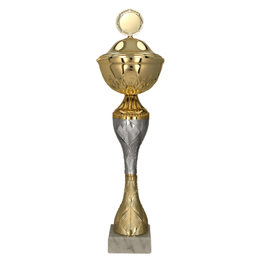 Cupa aurie cu argintiu, cu capac, 9266/P