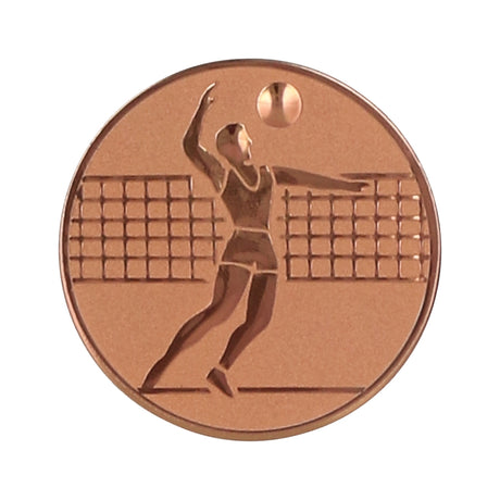 Emblema de aluminiu 25 mm, volei masculin, D1-A6