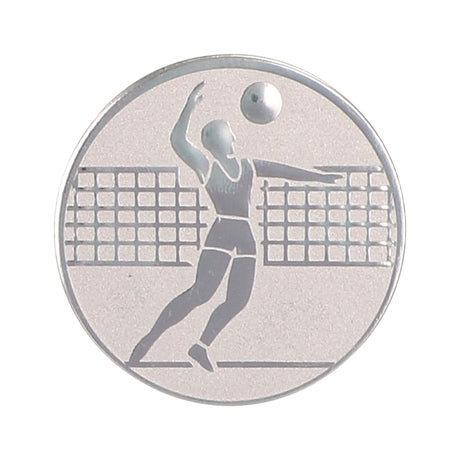 Emblema de aluminiu 25 mm, volei masculin, D1-A6