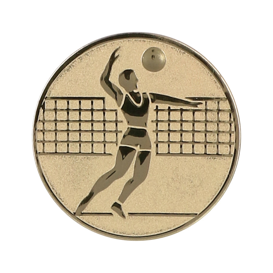 Emblema de aluminiu 50 mm, volei masculin, D2-A6