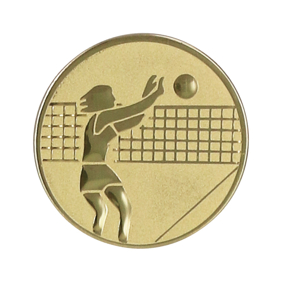 Emblema de aluminiu 50 mm, volei, D2-A7