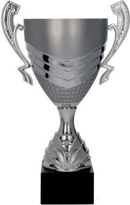 Cupa metalica, NT1028