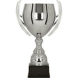 Cupa 1062