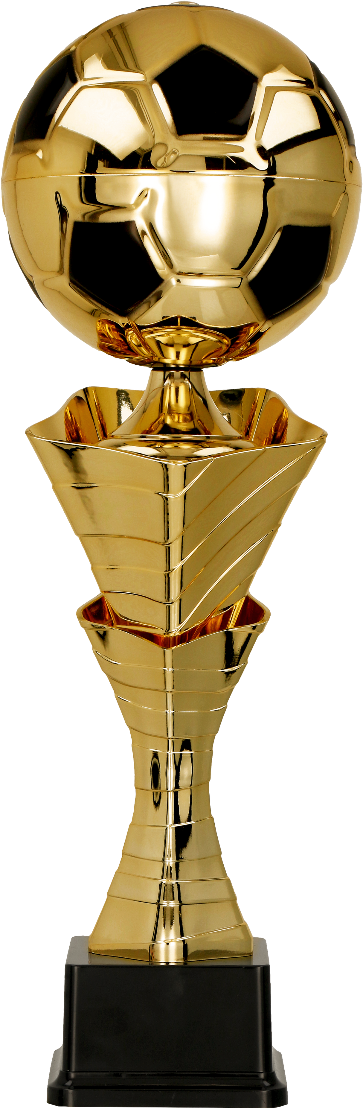 Cupa Metalica Aurie, Fotbal, 4219
