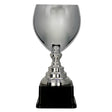 Cupa metal 2089