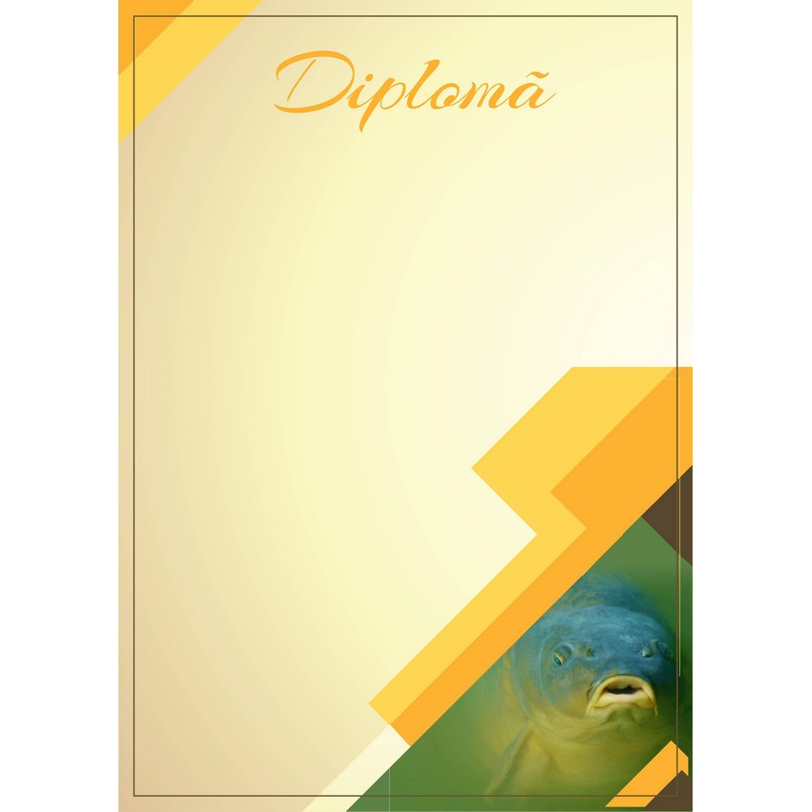 Diplomă carton DIPL06