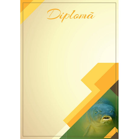 Diplomă carton DIPL06