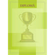 Diplomă carton DIPL08
