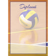 Diplomă carton DIPL25