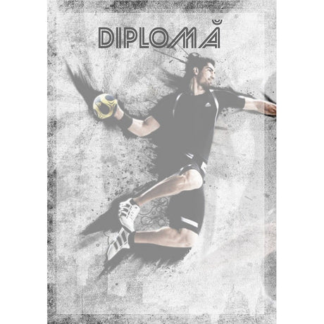 Diplomă carton DIPL28
