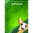 Diplomă carton DIPL40