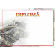 Diplomă carton DIPL59