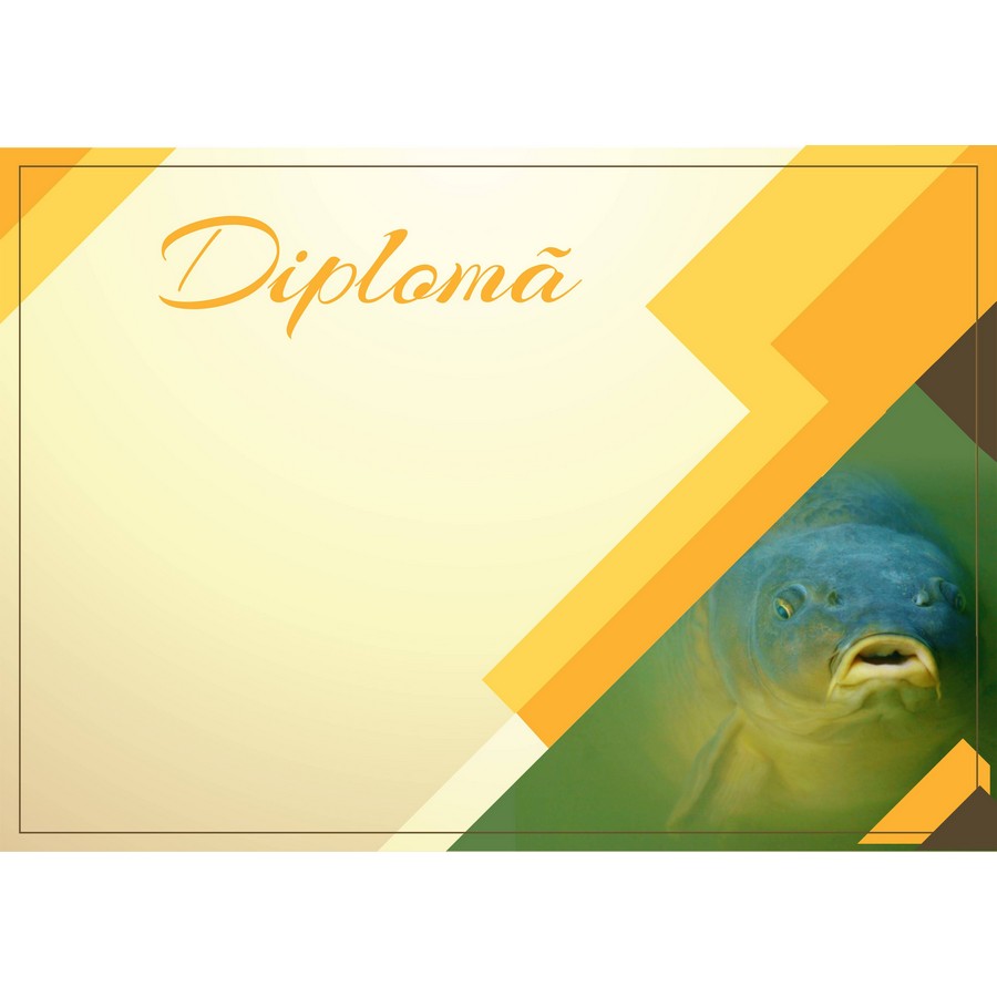 Diplomă carton DIPL88