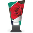 Trofeu plexiglas CG02C/ROS