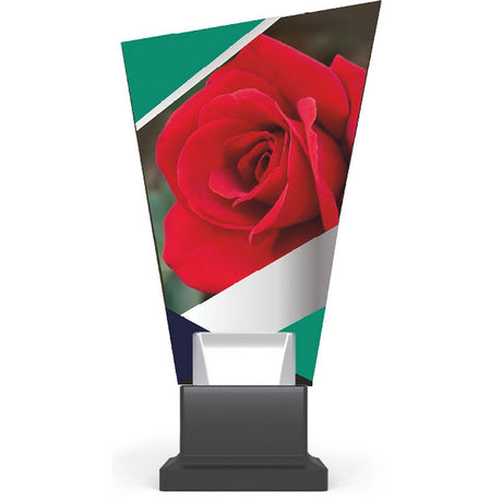 Trofeu plexiglas CG02C/ROS