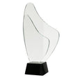 trofeu din sticla model C070