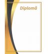 Diplomă carton DIPL05