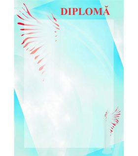 Diplomă carton DIPL13