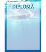 Diplomă carton DIPL19