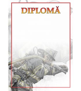 Diplomă carton DIPL22