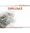 Diplomă carton DIPL59