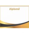 Diplomă carton DIPL90