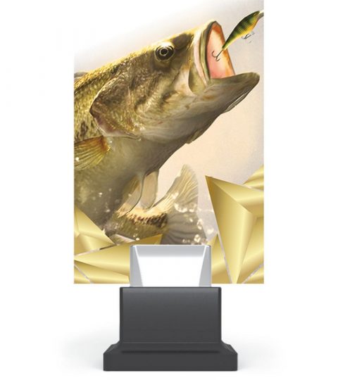 trofee-plexiglas-CG01_FIS