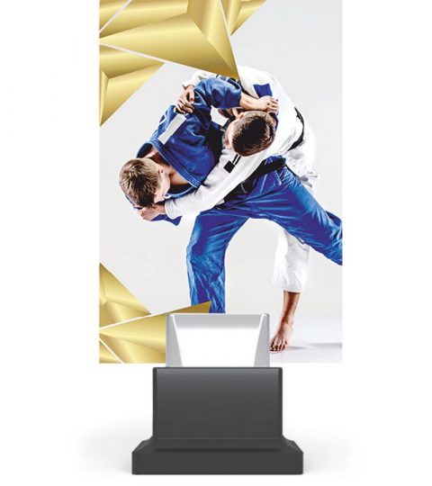 trofee-plexiglas-CG01_JUD