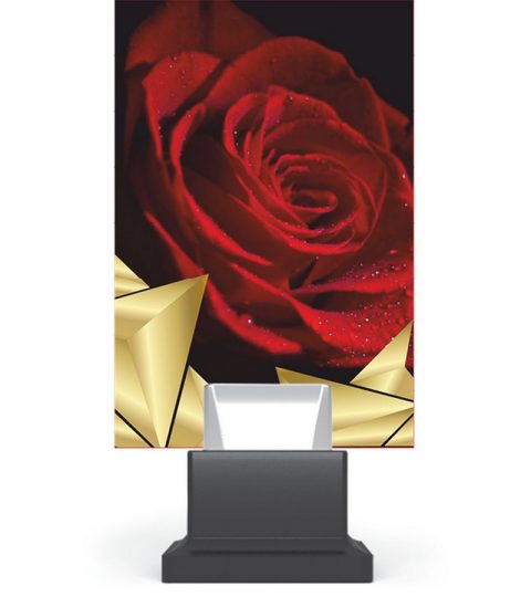 trofee-plexiglas-CG01_ROS