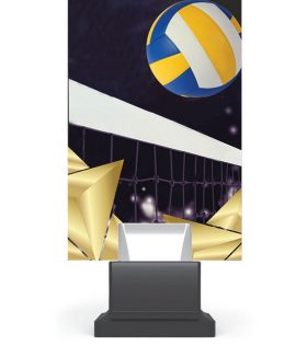 Trofeu plexiglas CG01C/VOL