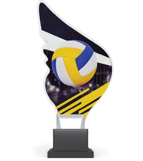 trofee-plexiglas-CP01_VOL