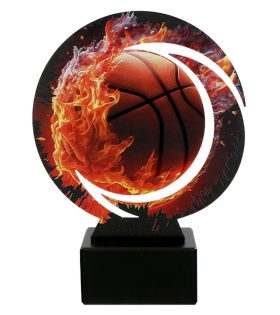 trofeu din metal WR baschet