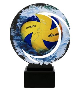 trofeu din metal WR Vol