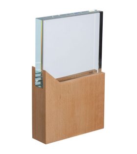 trofeu din sticlă si lemn