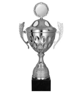 Cupa metalica argintie, cu capac, 4234/P